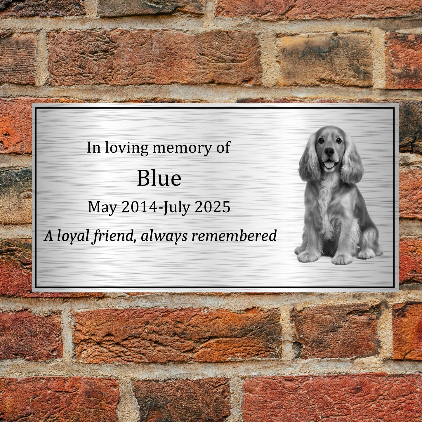 Personalised Pet Memorial Plaque – Stainless Steel Dog & Cat Memorial